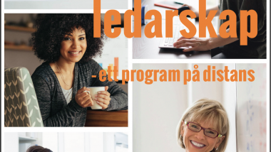 Beskrivning distansutbildningen Modernt ledarskap