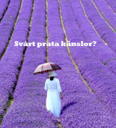 Använd känslorna på e-Universitetet
