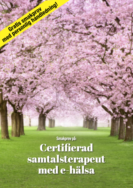 Gratis smakprov på distansutbildningen Certifierad samtalsterapeut med e-hälsa.