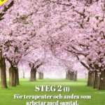 e-Boken för Steg 2 på e-Universitetet.